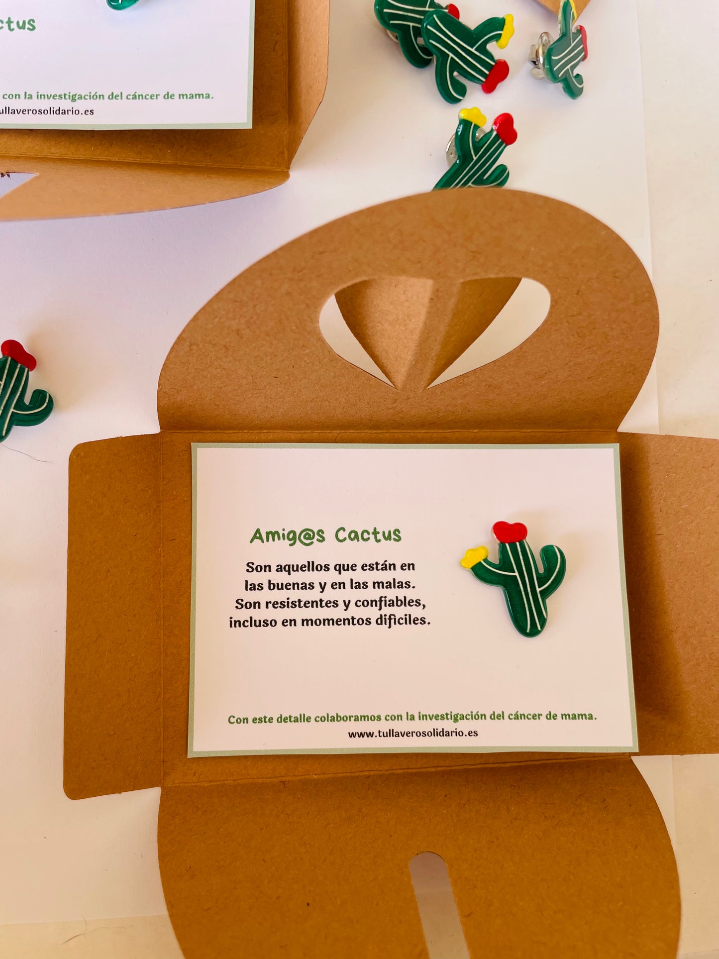 Pin cactus solidarios