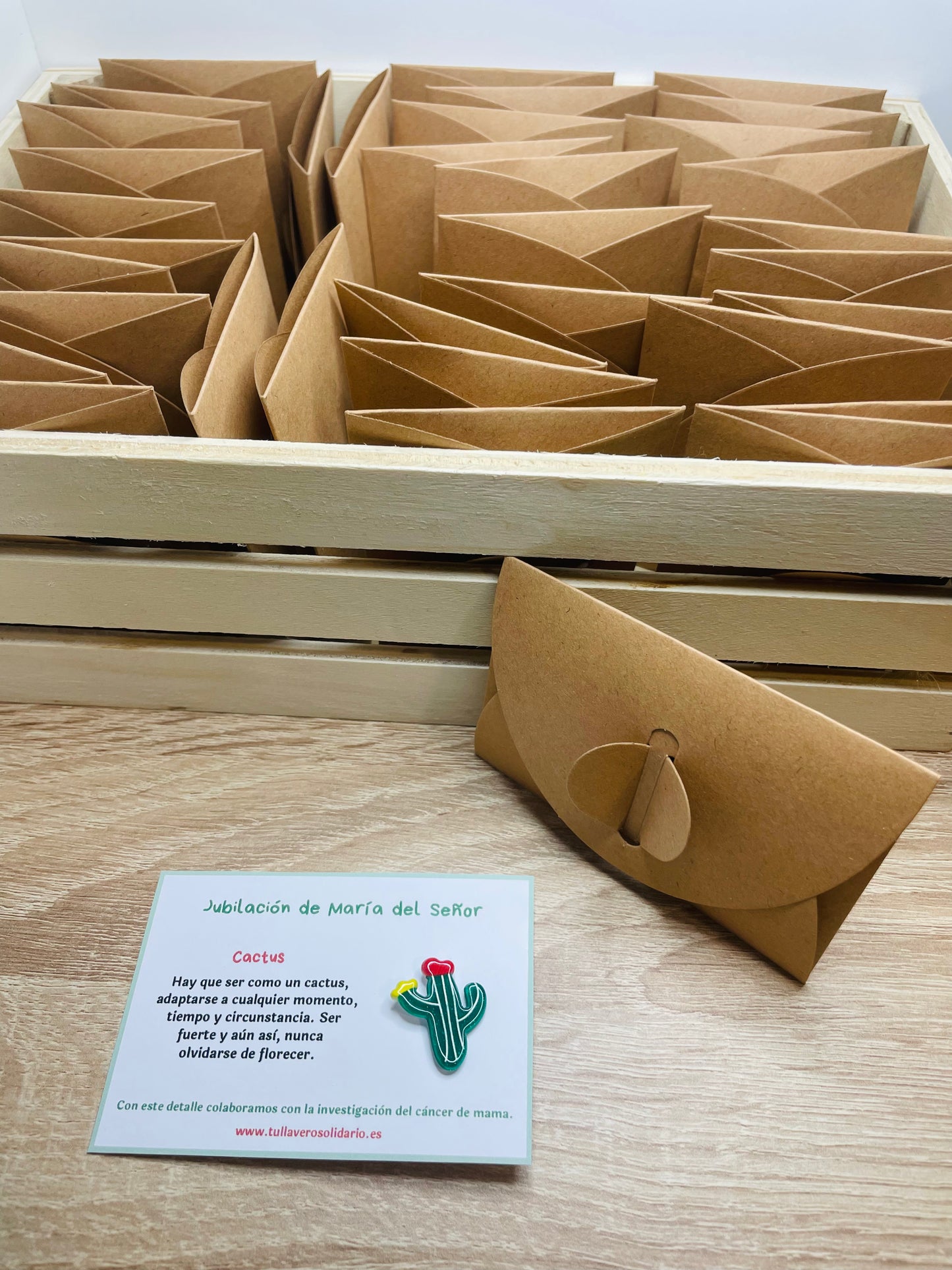 Pin cactus solidarios