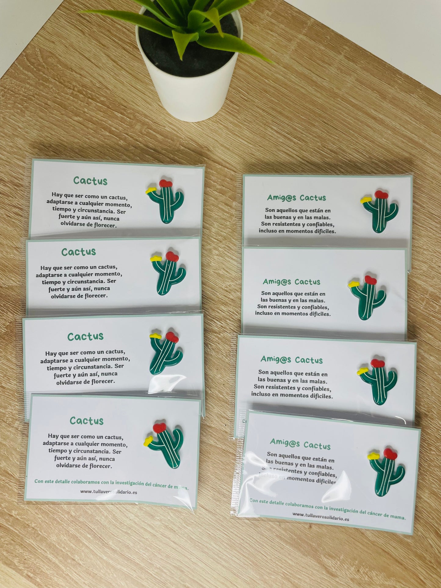 Pin cactus solidarios