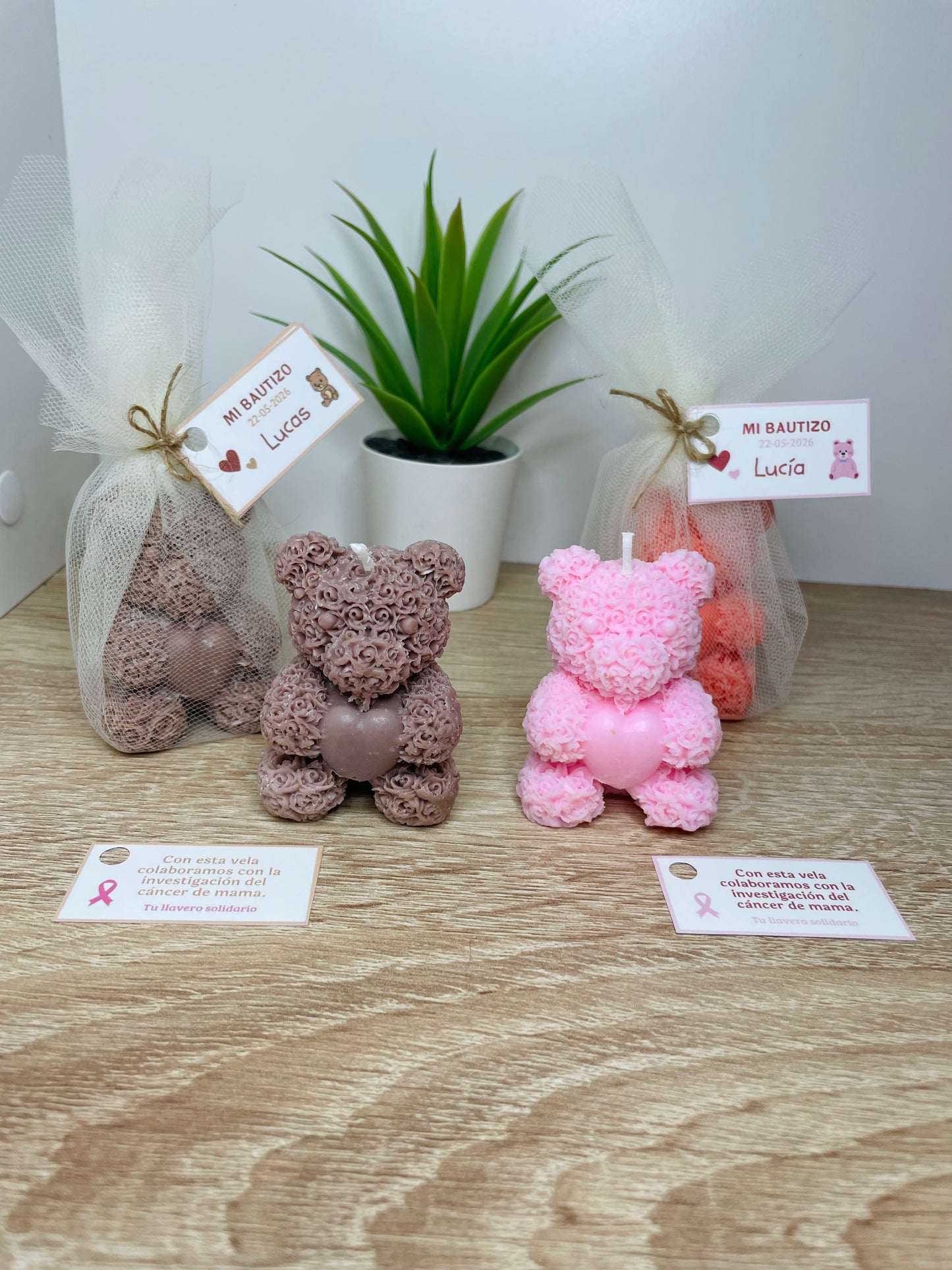 Vela oso aromatica solidaria