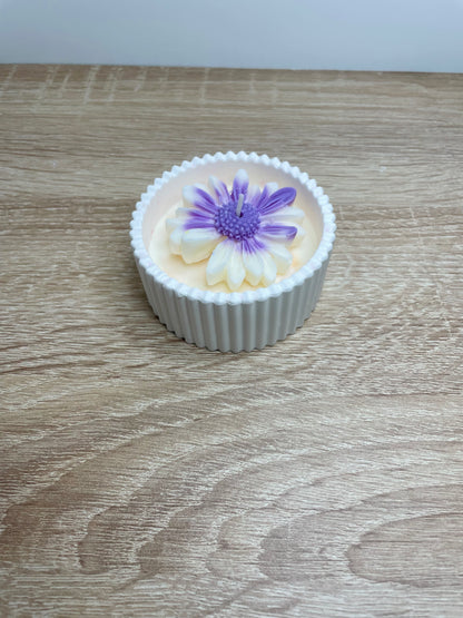 Vela solidaria flor aromática