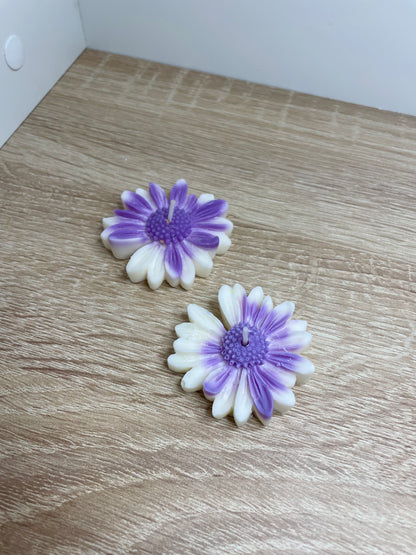 Vela solidaria flor aromática