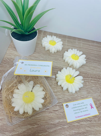 Vela solidaria flor aromática