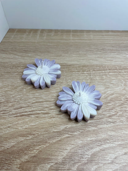 Vela solidaria flor aromática