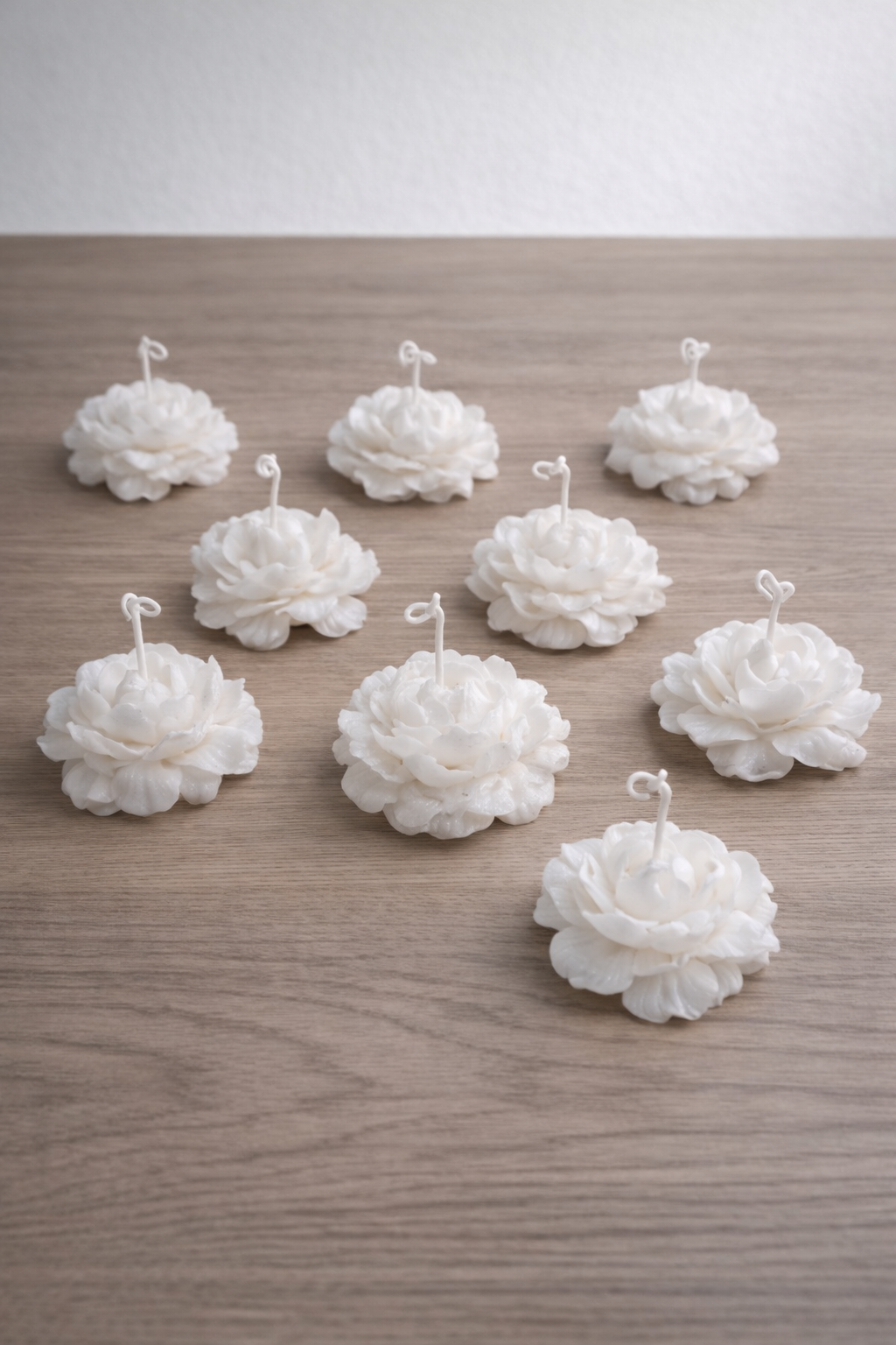 Vela peonia solidaria