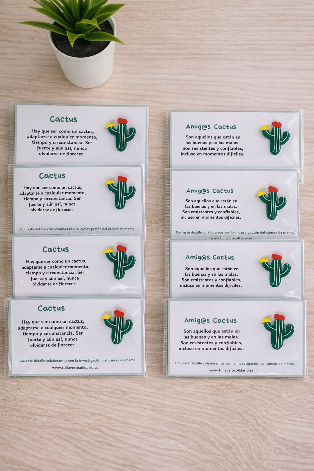 Pin cactus solidarios