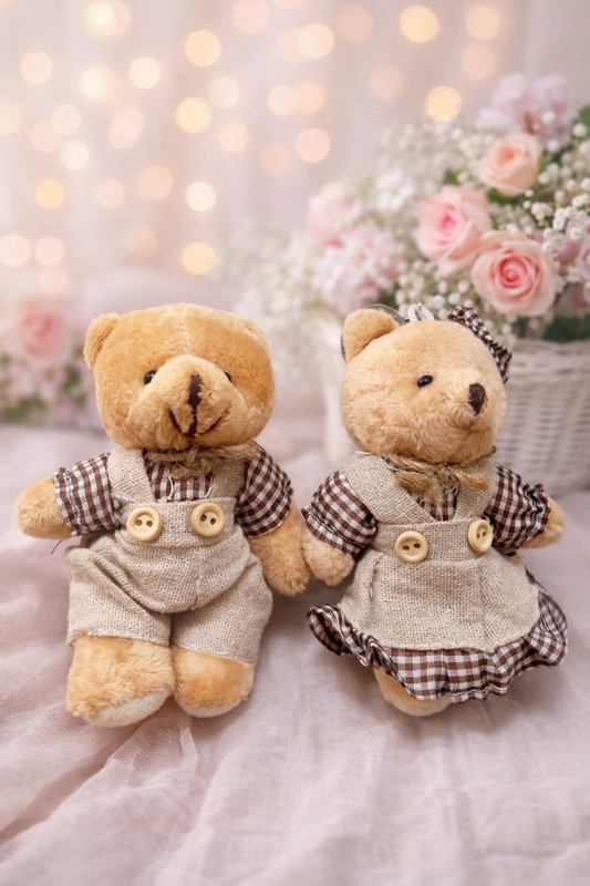 Peluches / llaveros Ositos